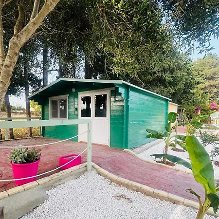 Gaviota Chiclana פארק נופש צ'יקלנה דה לה פרונטרה